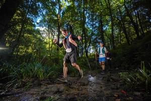 BIB: 
                            <button type="button" onclick="openModal(19229801)" class="btn btn-primary btn-sm float-right btn-popup" data-toggle="modal" data-target=".modal-high-quality">
                        <i class="fas fa-shopping-cart"></i> Add to Cart
                    </button>
                                            <button type="button" onclick="isThisMe(19229801, true)" class="btn btn-success btn-sm float-right btn-popup btn-isme hidden" data-toggle="tooltip" data-placement="bottom" title="นี่คือรูปของคุณใช่ไหม คลิกที่นี่เพื่อเอาเข้าอัลบั้ม">
                        <i class="fas fa-plus"></i> Add to album
                    </button>
                    <button type="button" onclick="isThisMe(19229801, false)" class="btn btn-warning btn-sm float-right btn-popup btn-isnotme hidden">
                        <i class="fas fa-ban"></i> Remove from album
                    </button>